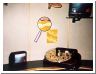 lifeupclose1.html