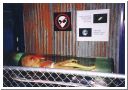 alien.html