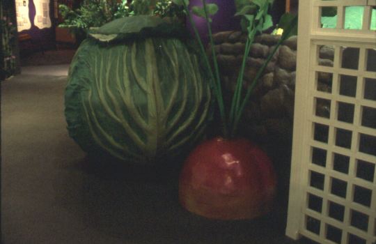 cabbage.jpg
