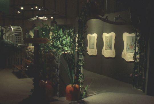 wideview3.jpg