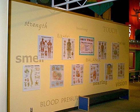body_posters.jpg