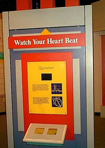 heart_beat2.jpg