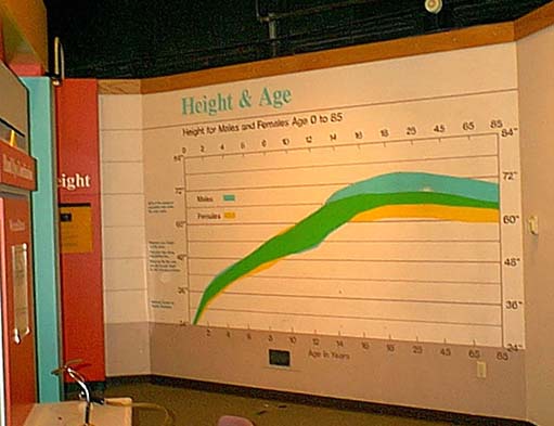 height_age.jpg