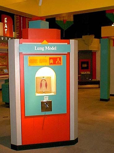 lung_model.jpg