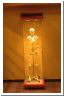 skeleton2.html