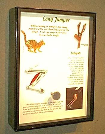 jump_sign.jpg