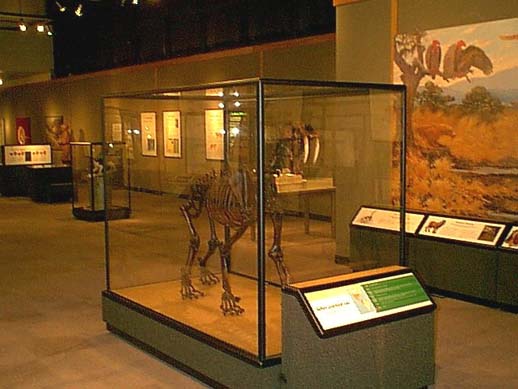 sabertooth2.jpg