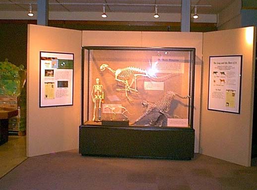 skeletons2.jpg