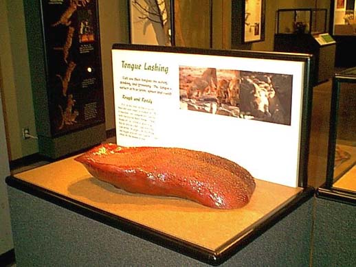 tongue.jpg