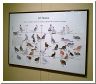 family_tree.html