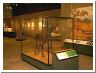 sabertooth2.html