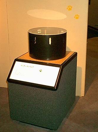 zoetrope.jpg