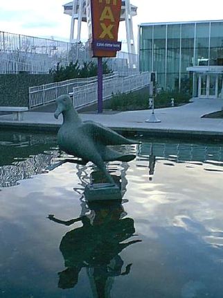 seagul.jpg