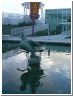seagul.html