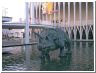 t-tops_ponds.html