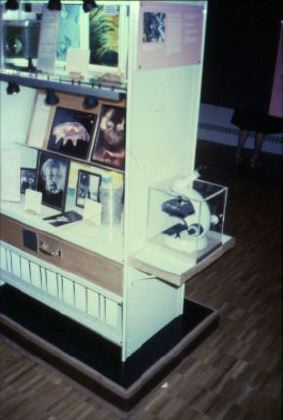 microscope.jpg