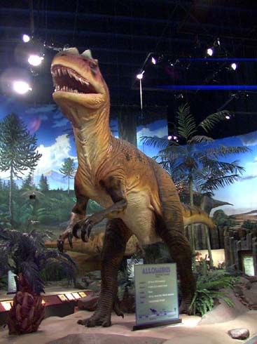 allosaur2.jpg