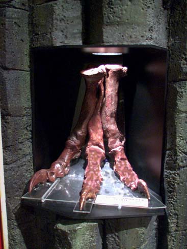 trexfoot.jpg