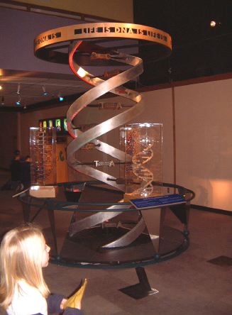 helix2.jpg