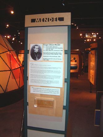 mendelbio.jpg