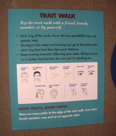 traitwalksign.jpg