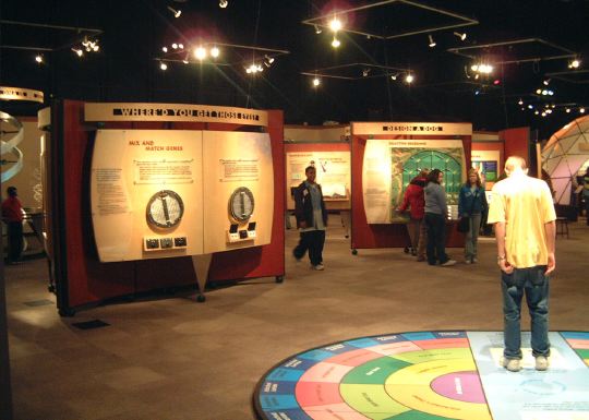 wideview3.jpg