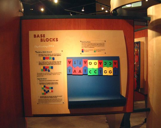 basesblocks.jpg
