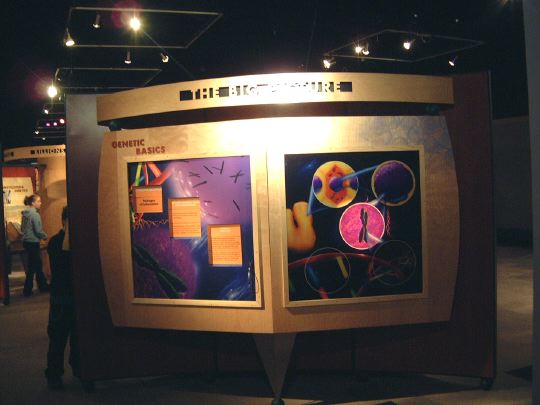 bigpicture.jpg
