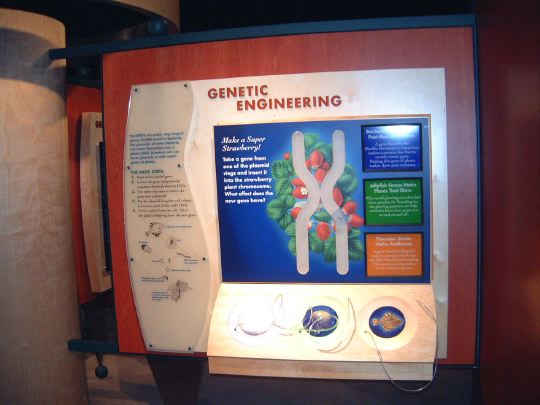 geneticengineering.jpg