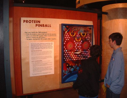 pinball.jpg
