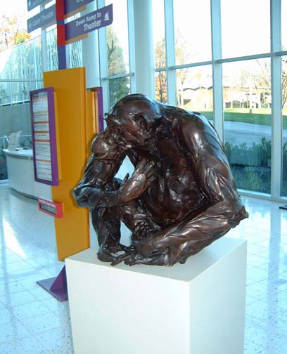 gorillas08.jpg