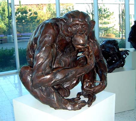 gorillas102.jpg