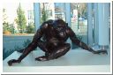 gorillas04.html