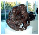 gorillas102.html