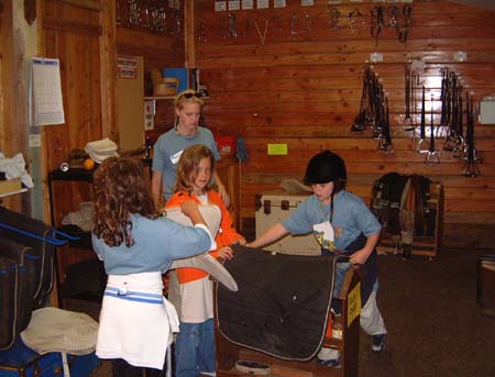 horsecamp16.jpg