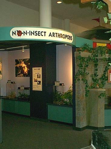 arthropods.jpg