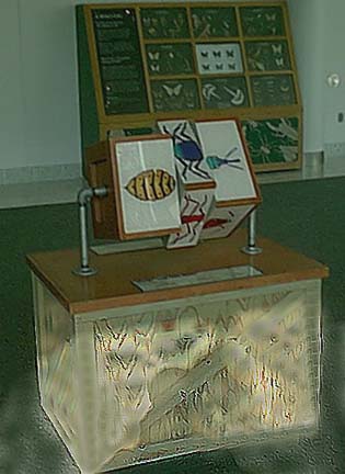 insectparts.jpg
