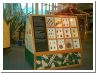 bugs_case.html