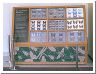 butterfly_case2.html