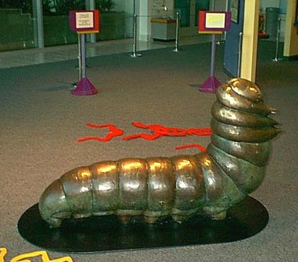 sculpture.jpg