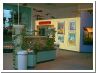 insect_zoo3.html