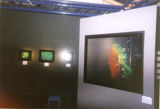holograms.jpg