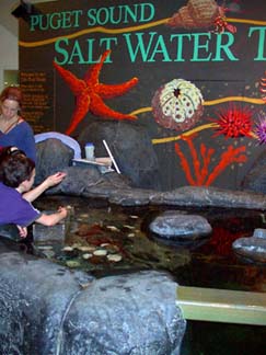 tidepool.jpg