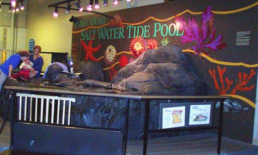 tidepool2.jpg