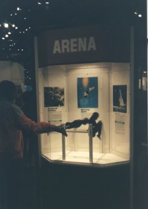 arena2.jpg