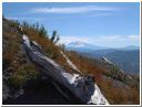 mtadams.html