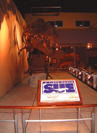 sue trex1.jpg