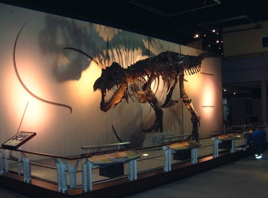sue trex3.jpg
