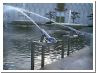water_cannon.html