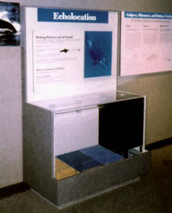 ecolocation17.jpg